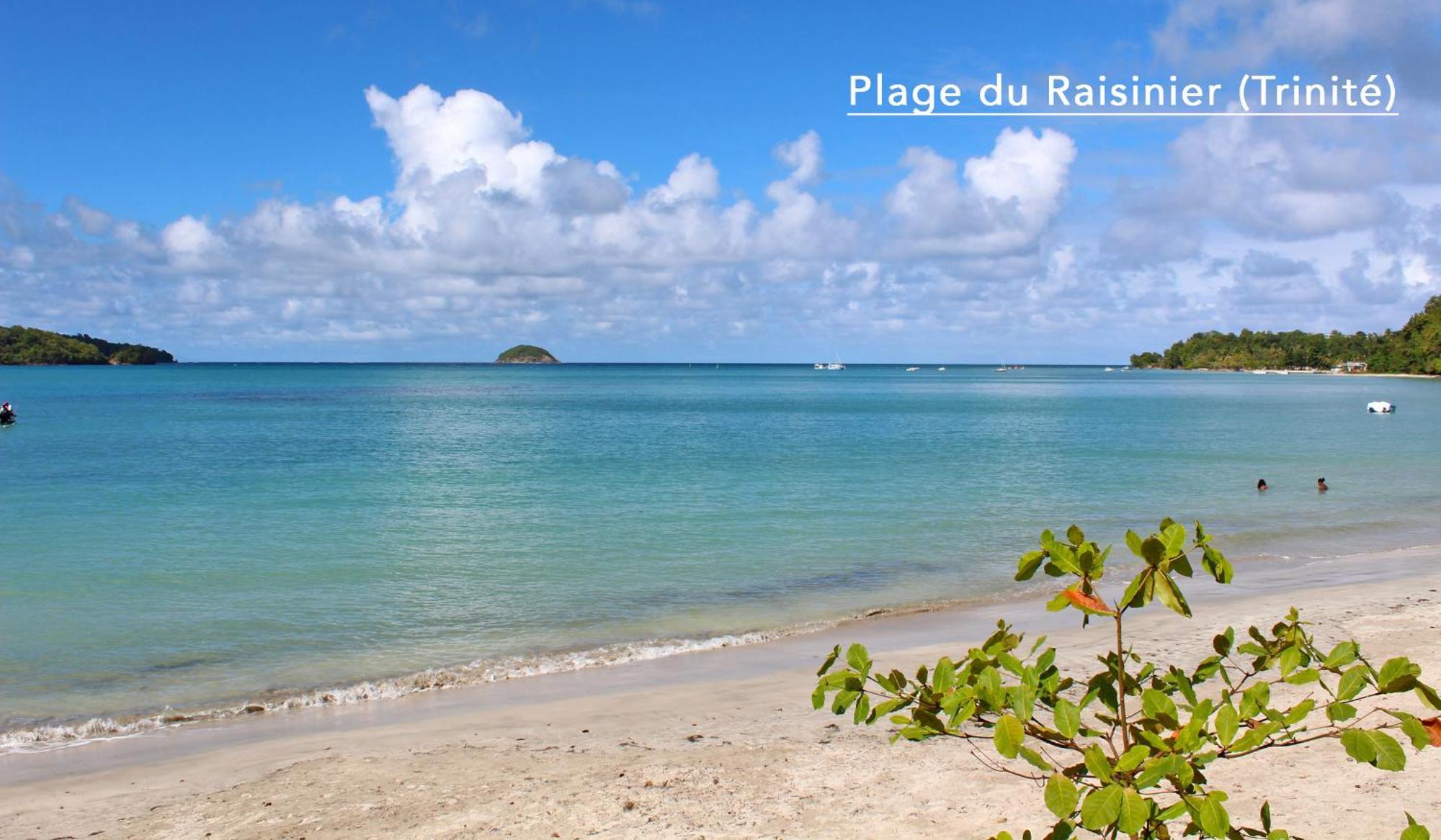 F3 Hibiscus - Piscine Chauffee - Vue Mer - 9 Min De La Plage - Ti Zwezo Paradi La Trinité Exterior foto